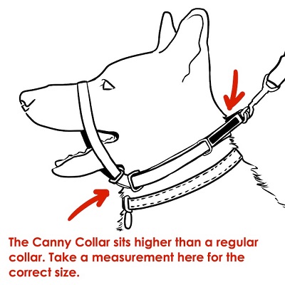 How to measure for Canny Collar